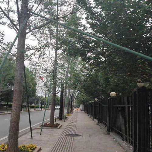 北京玻璃鋼樹(shù)木支撐架銷(xiāo)售操作流程