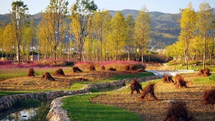 東方園林 向全能型生態(tài)環(huán)保企業(yè)邁進(jìn)，持續(xù)深耕循環(huán)經(jīng)濟(jì)與樹(shù)木種植經(jīng)營(yíng)